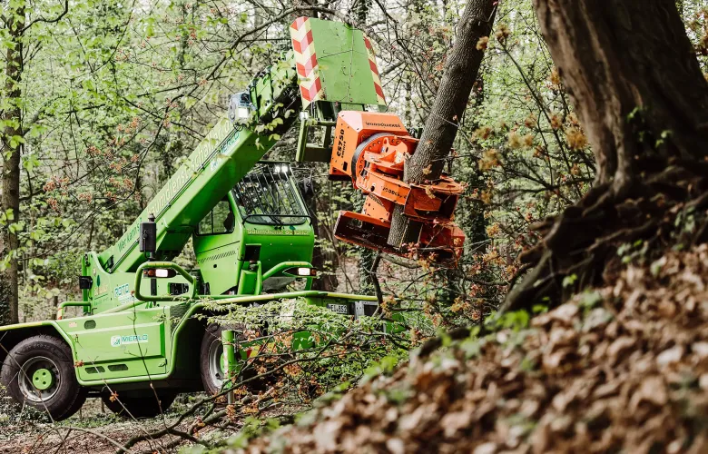 Eine grüne Forstmaschine mit einem mechanischen Arm fällt einen Baum in einem Waldgebiet. Der Arm umgreift den Stamm und sägt ihn durch, umgeben von herabgefallenen Blättern und dichtem Laub.