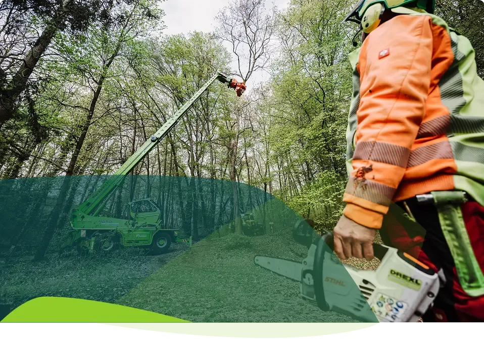 Ein Arbeiter in Schutzkleidung hält eine Kettensäge und beobachtet einen anderen Arbeiter, der hoch oben in einem Hubsteiger Bäume in einem Waldgebiet beschneidet.