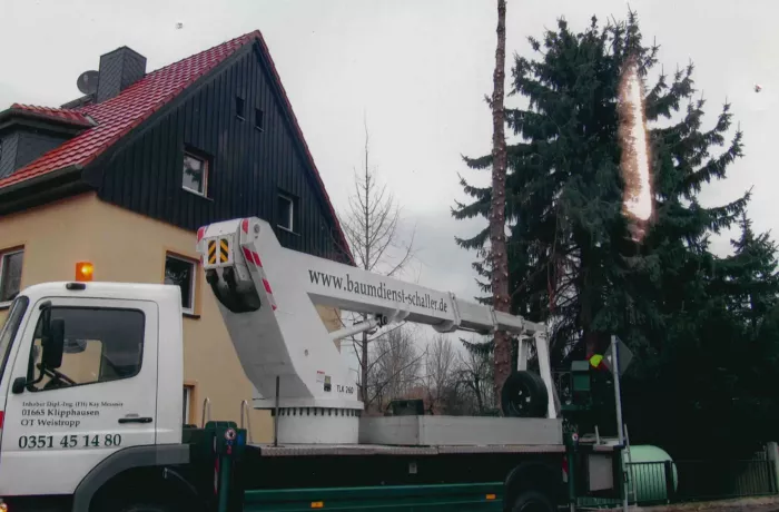 Ein Lkw mit einer Hebebühne ist neben einem Haus geparkt, während Arbeiter einen hohen Baum neben dem Gebäude beschneiden. Der Baum weist sichtbare Fällspuren auf, und es wurden Äste entfernt.