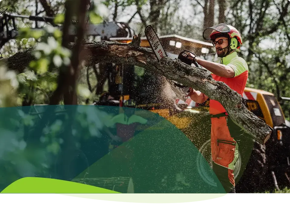 Ein Arbeiter in Schutzkleidung schneidet mit einer Kettensäge einen dicken Ast im Freien durch, wobei im Hintergrund Bäume und schwere Maschinen zu sehen sind.