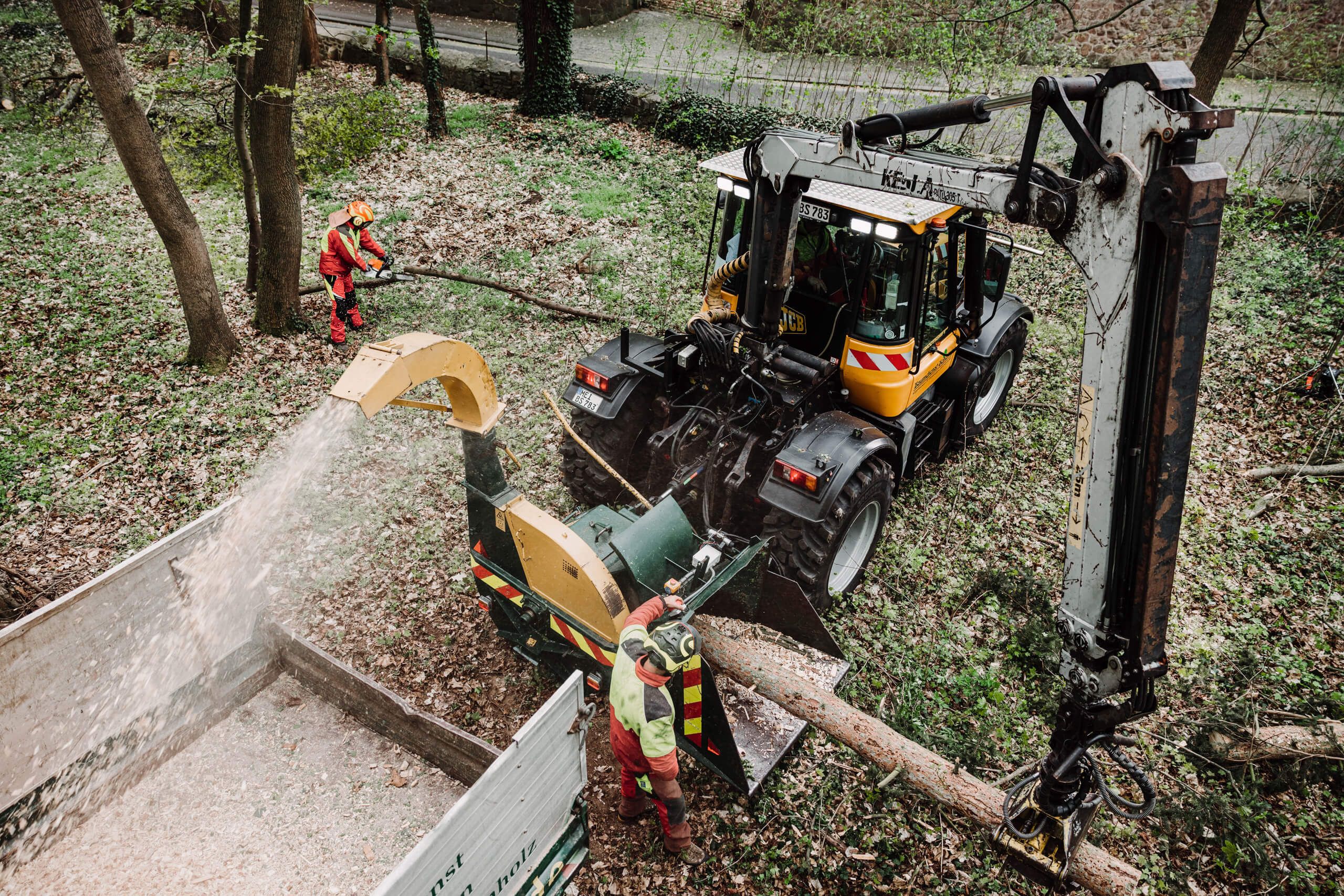 Ein Arbeiter führt einen Baumstamm in einen an einem Traktor befestigten Holzhacker ein, während ein anderer Arbeiter in der Nähe in einem mit Laub bedeckten Waldgebiet steht. Die Hackschnitzel werden in einen Lastwagen gespritzt.