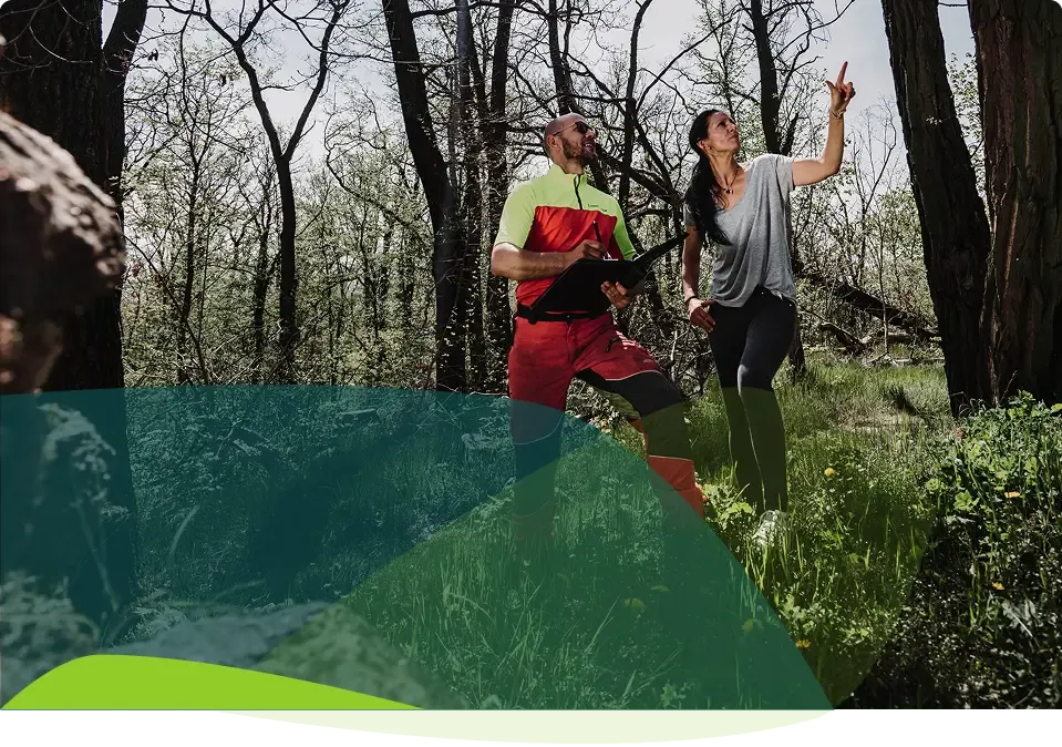 Zwei Personen stehen in einem sonnenbeschienenen Wald, eine von ihnen hält eine Tafel oder Karte. Die Frau zeigt nach oben, während sie in die gleiche Richtung blicken, umgeben von hohen Bäumen und Gras, mit einer halbtransparenten Farbüberlagerung am unteren Rand des Bildes.