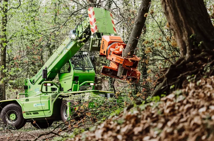 Eine grüne Forstmaschine mit einem mechanischen Arm fällt einen Baum in einem Waldgebiet. Der Arm umgreift den Stamm und sägt ihn durch, umgeben von herabgefallenen Blättern und dichtem Laub.
