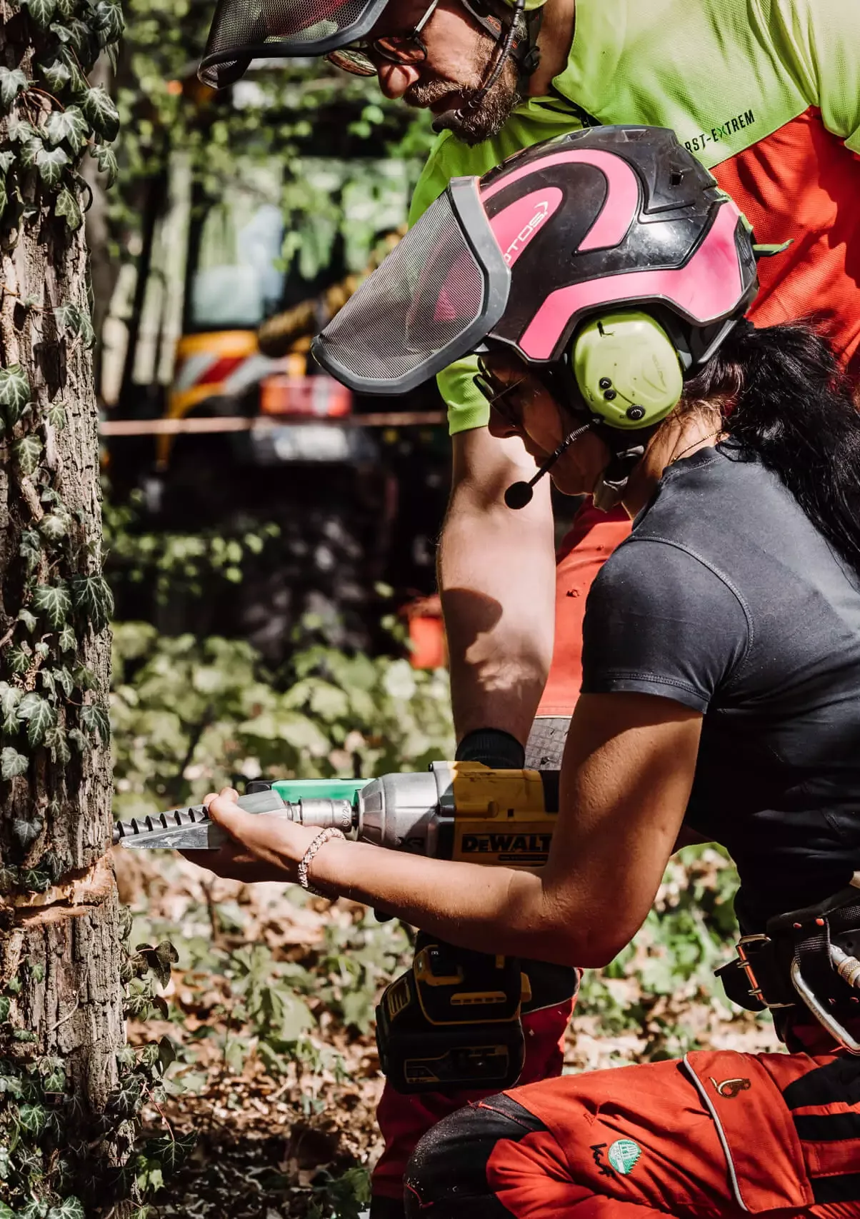 Zwei Personen, die Schutzhelme und Gehörschutz tragen, arbeiten im Freien; eine setzt eine Bohrmaschine an einem Baumstamm ein, während die andere sie beaufsichtigt. Sie sind von Grün umgeben und scheinen forstwirtschaftliche oder baumpflegerische Arbeiten auszuführen.