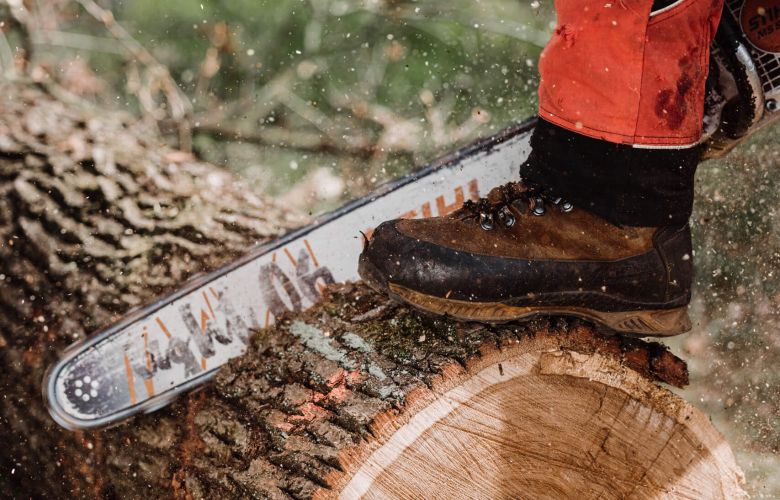 Eine Person in Schutzkleidung sägt mit einer Kettensäge einen großen Baumstamm durch, wobei Sägespäne aufgewirbelt werden; ein Stiefel ruht auf dem Stamm, während sie im Freien arbeitet.